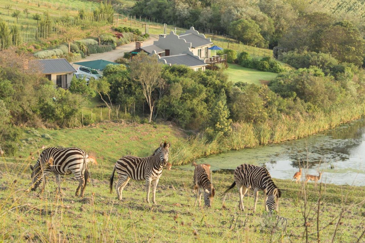 Hakuna Matata Game Farm Great Brak River Екстериор снимка